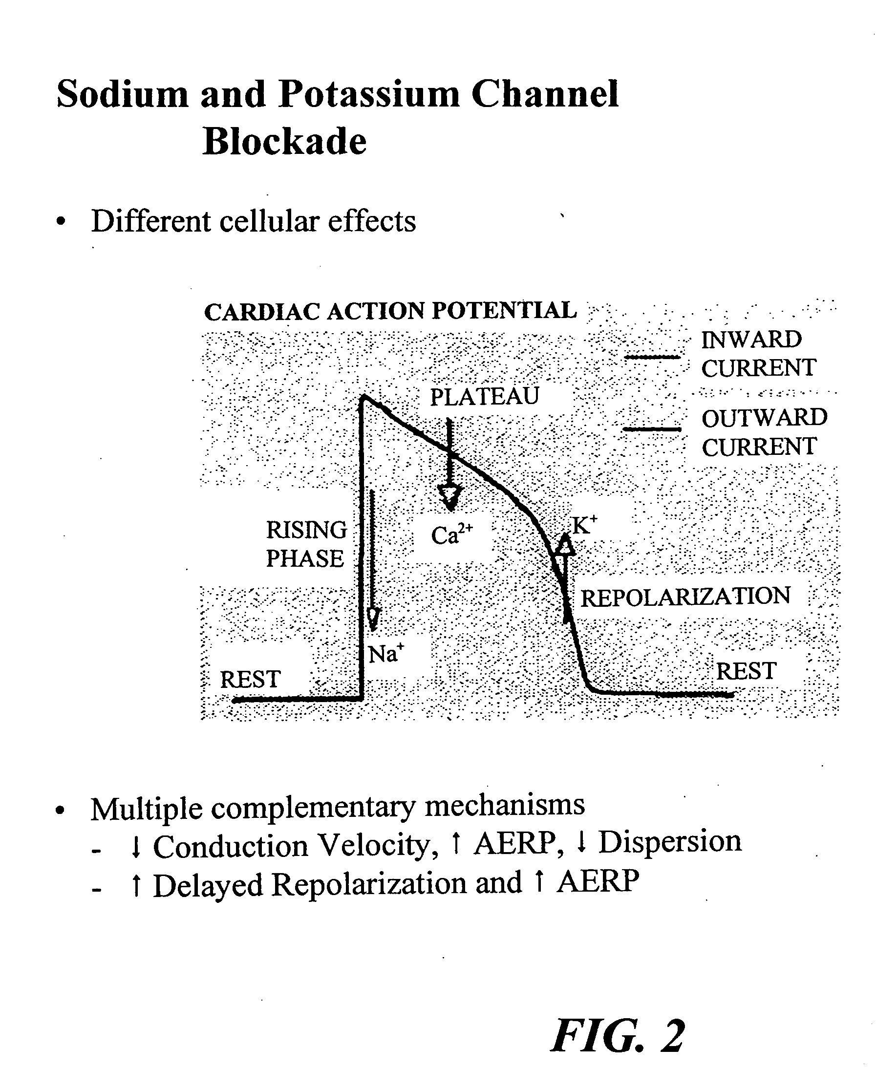 Method of drug therapy in treatment of cardiac arrhythmias