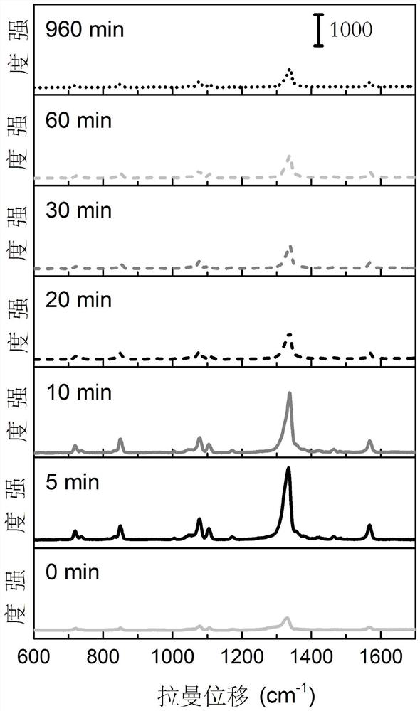 A kind of Raman probe and its preparation method and application