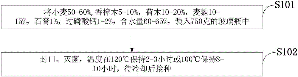 Pleurotus tuber-regium stock and culture method thereof