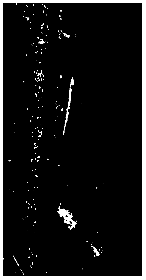 Method for rapidly propagating potato microtubers by using potato stem segments