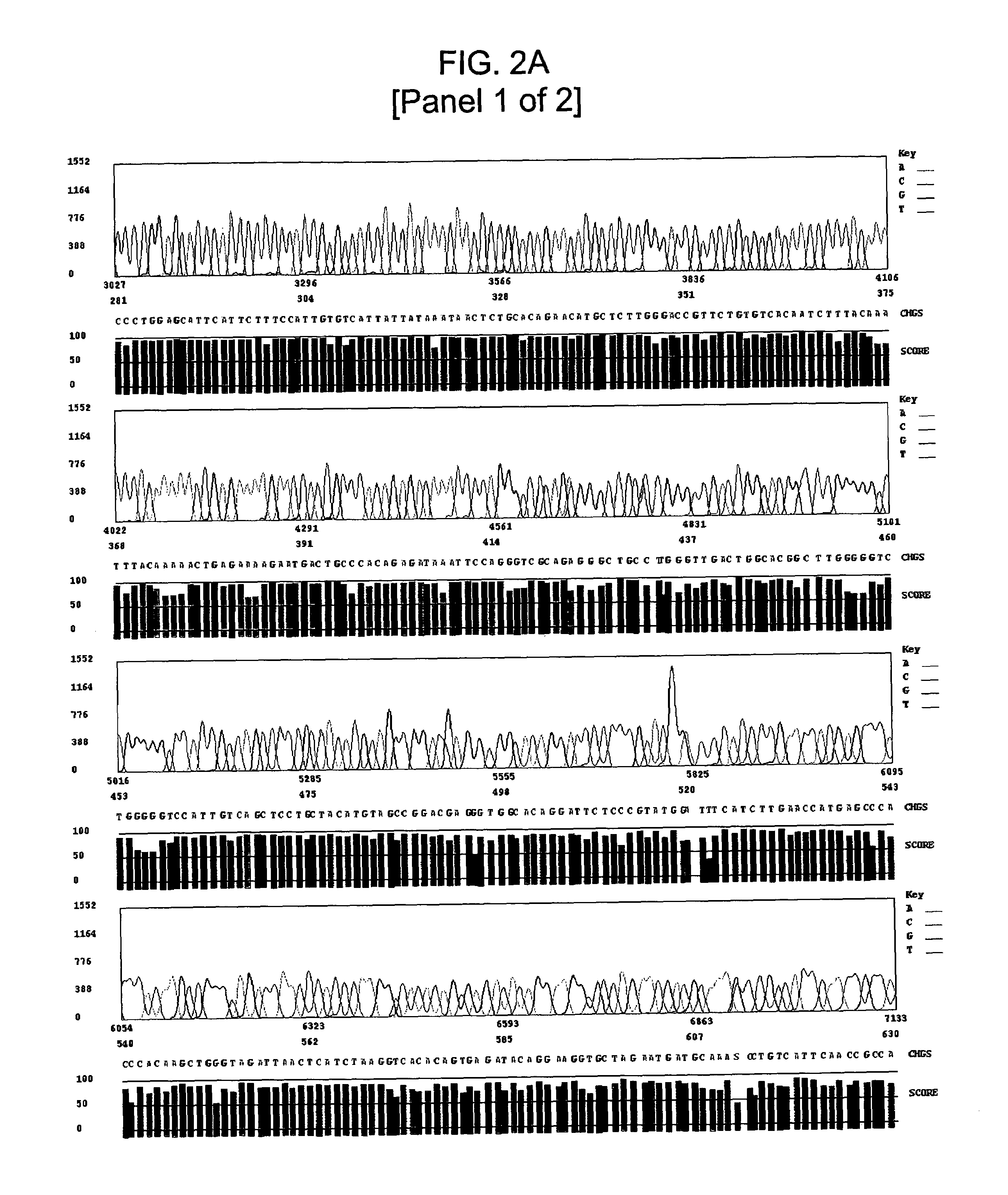 Methods for sequencing GC-rich and CCT repeat DNA templates