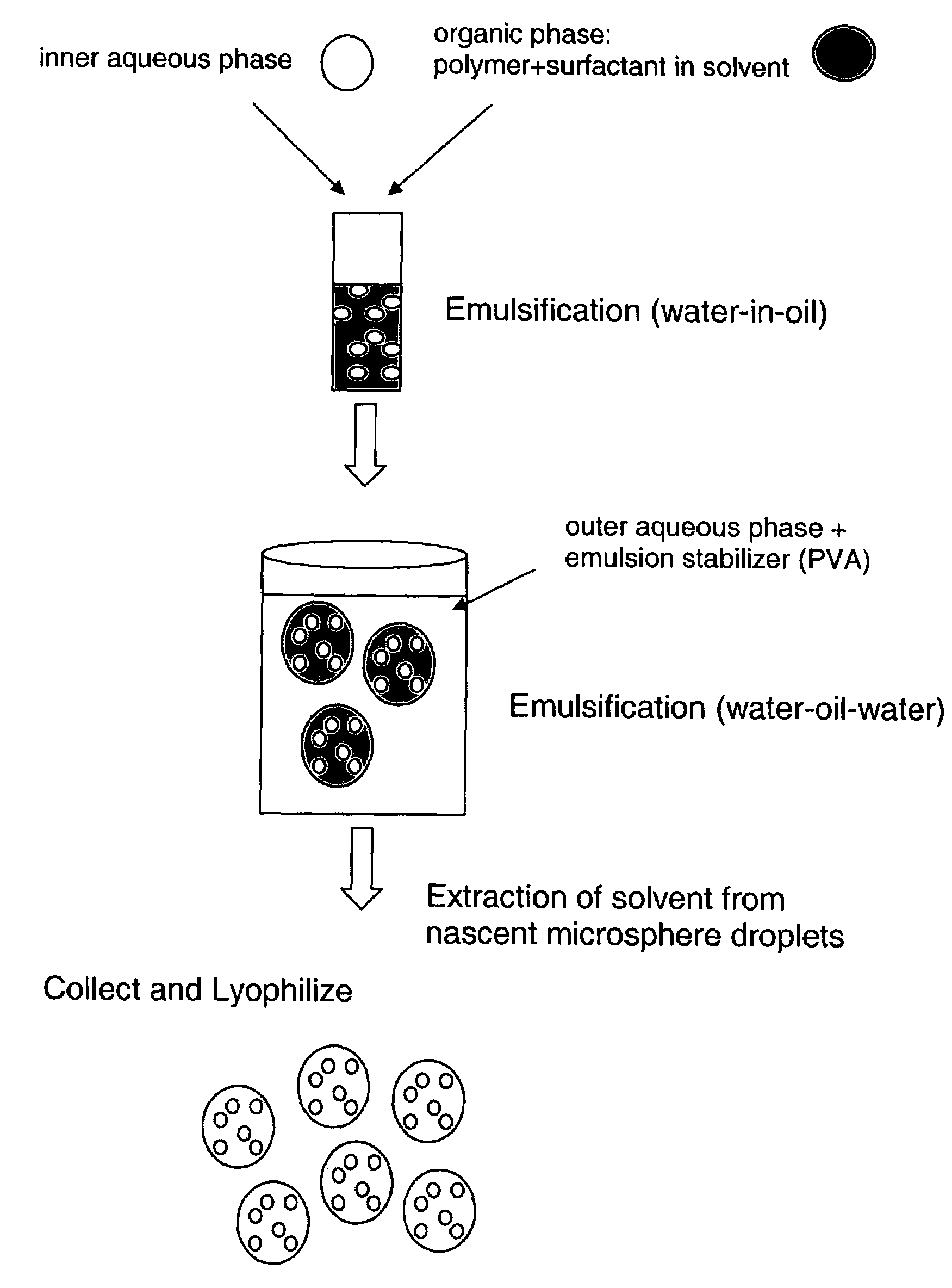 Biodegradable polymer compositions, compositions and uses related thereto