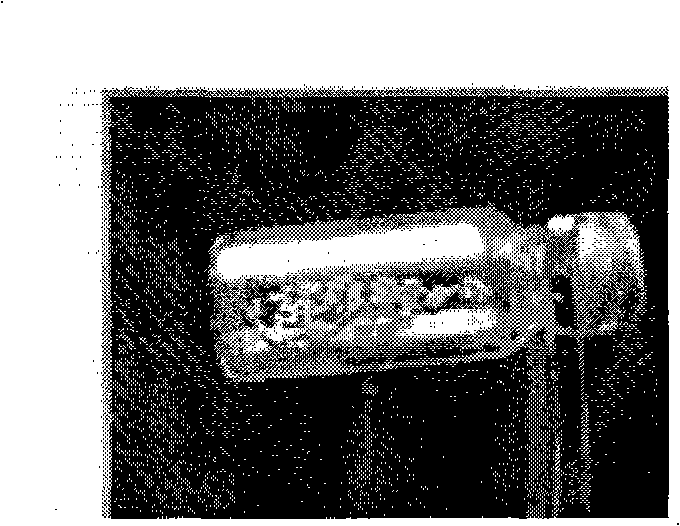 Radionuclide particle implantation medicine for cancer, use and preparation method thereof