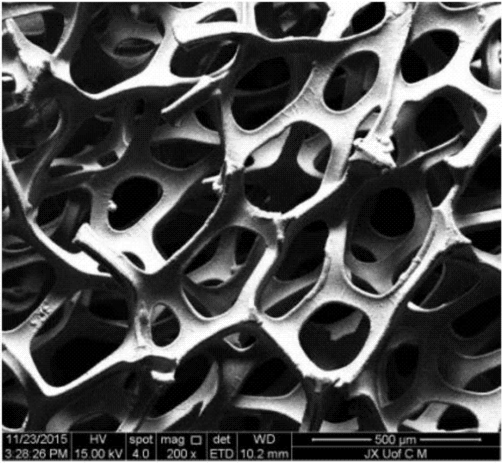 Octadecyl modified foam nickel adsorbent and application thereof