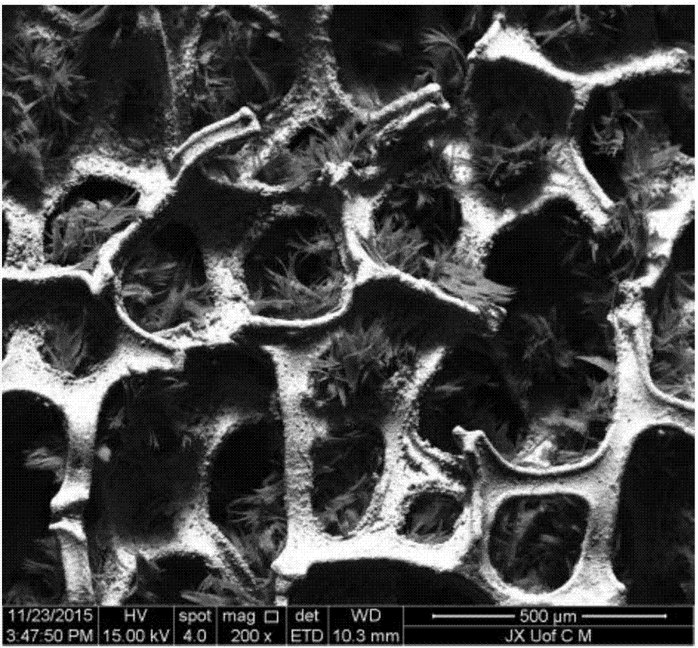 Octadecyl modified foam nickel adsorbent and application thereof