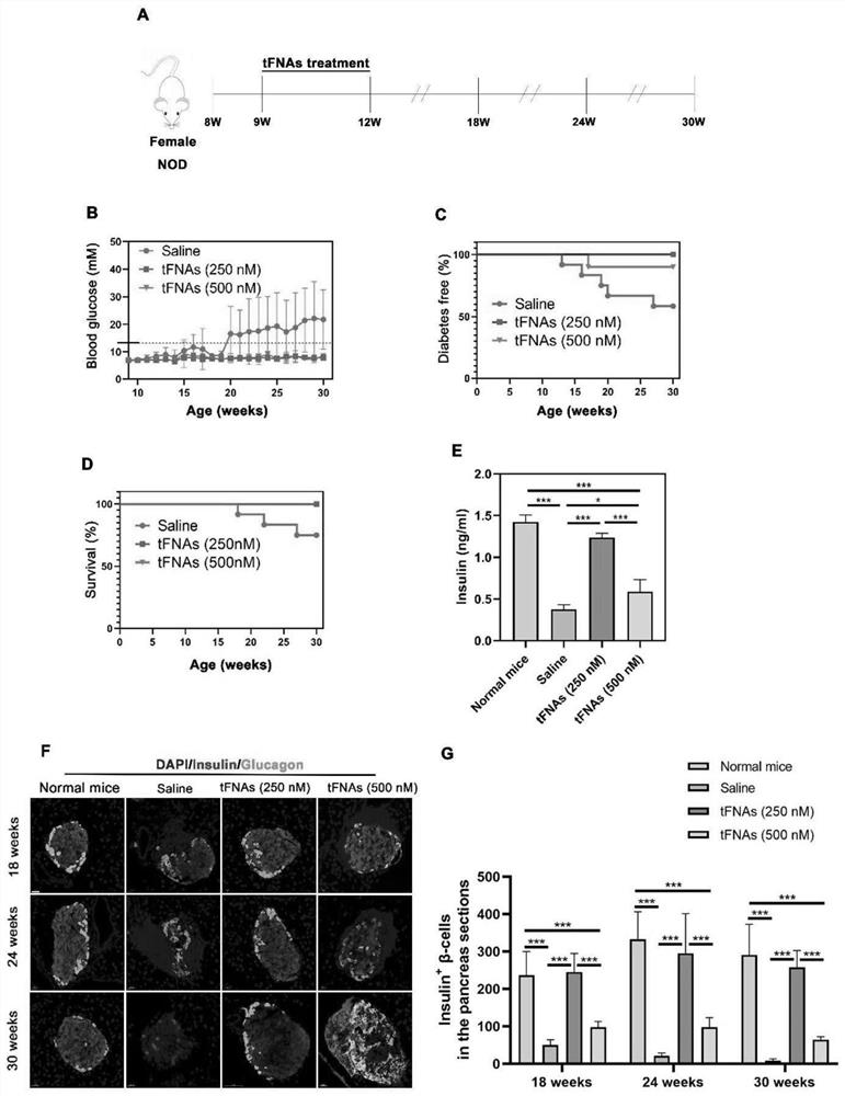 Application of DNA tetrahedron in preparation of medicine for preventing and treating type 1 diabetes mellitus