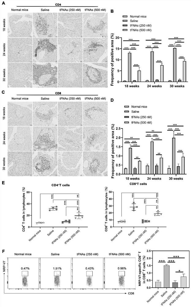 Application of DNA tetrahedron in preparation of medicine for preventing and treating type 1 diabetes mellitus