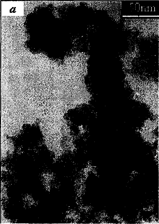 Carboxyl functional polymer/SiO2 composite nanometer particle and preparing method thereof