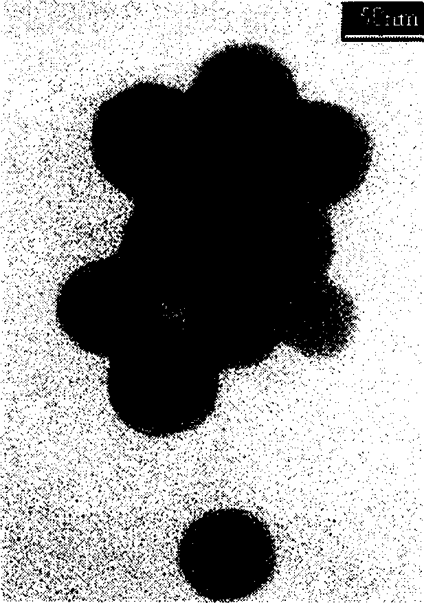 Carboxyl functional polymer/SiO2 composite nanometer particle and preparing method thereof