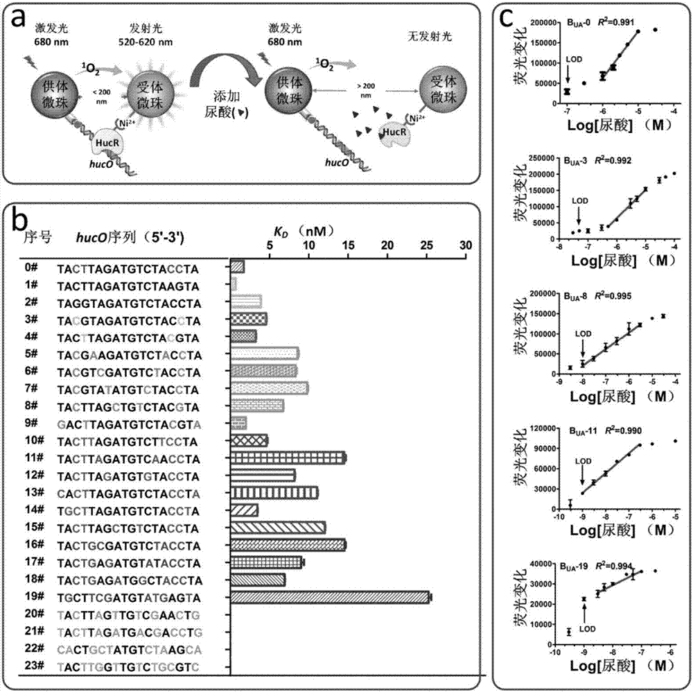 Biosensor containing allosteric transcription factor, and kit and application of same to micromolecular detection