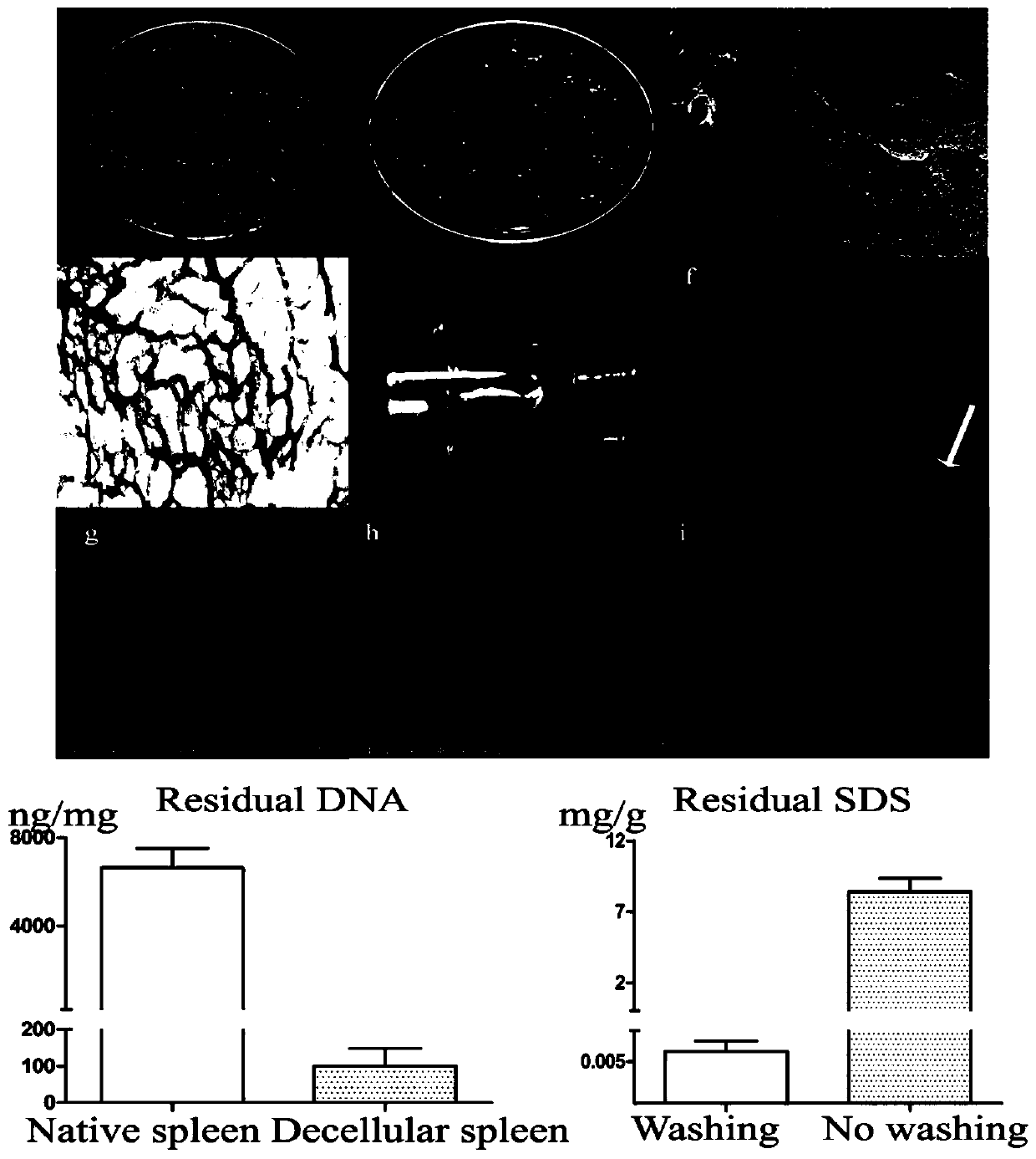 A kind of hydrogel with spleen extracellular matrix as raw material and preparation method thereof