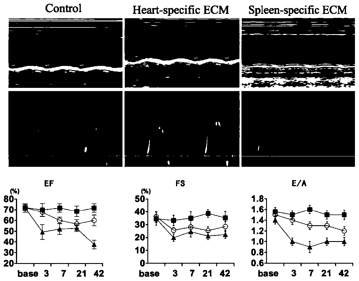 A kind of hydrogel with spleen extracellular matrix as raw material and preparation method thereof