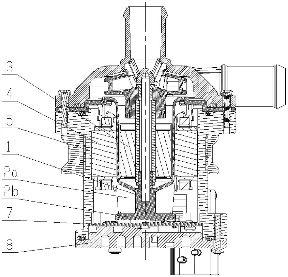 Water insulation cup for electronic water pump and electronic water pump