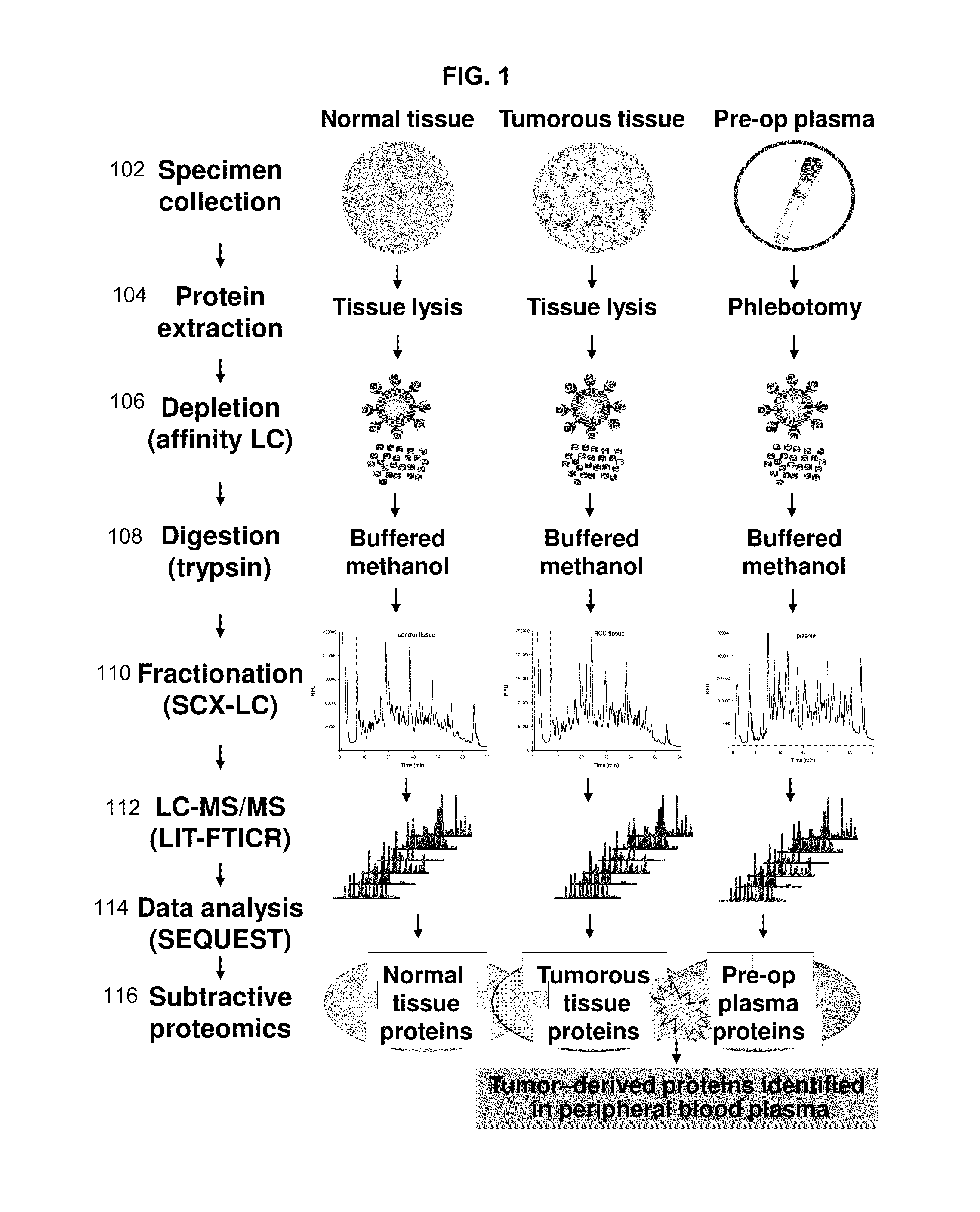 Renal cell carcinoma biomarkers