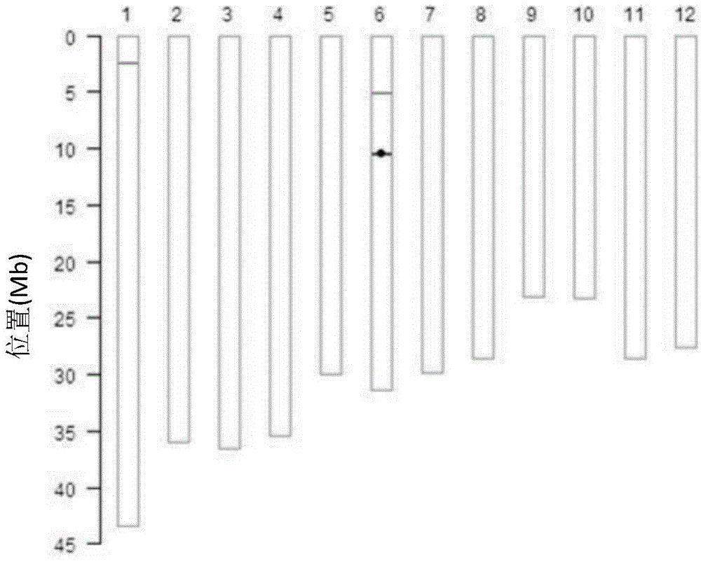 Recombinant nucleic acid fragment RecCR012080 and detection method thereof