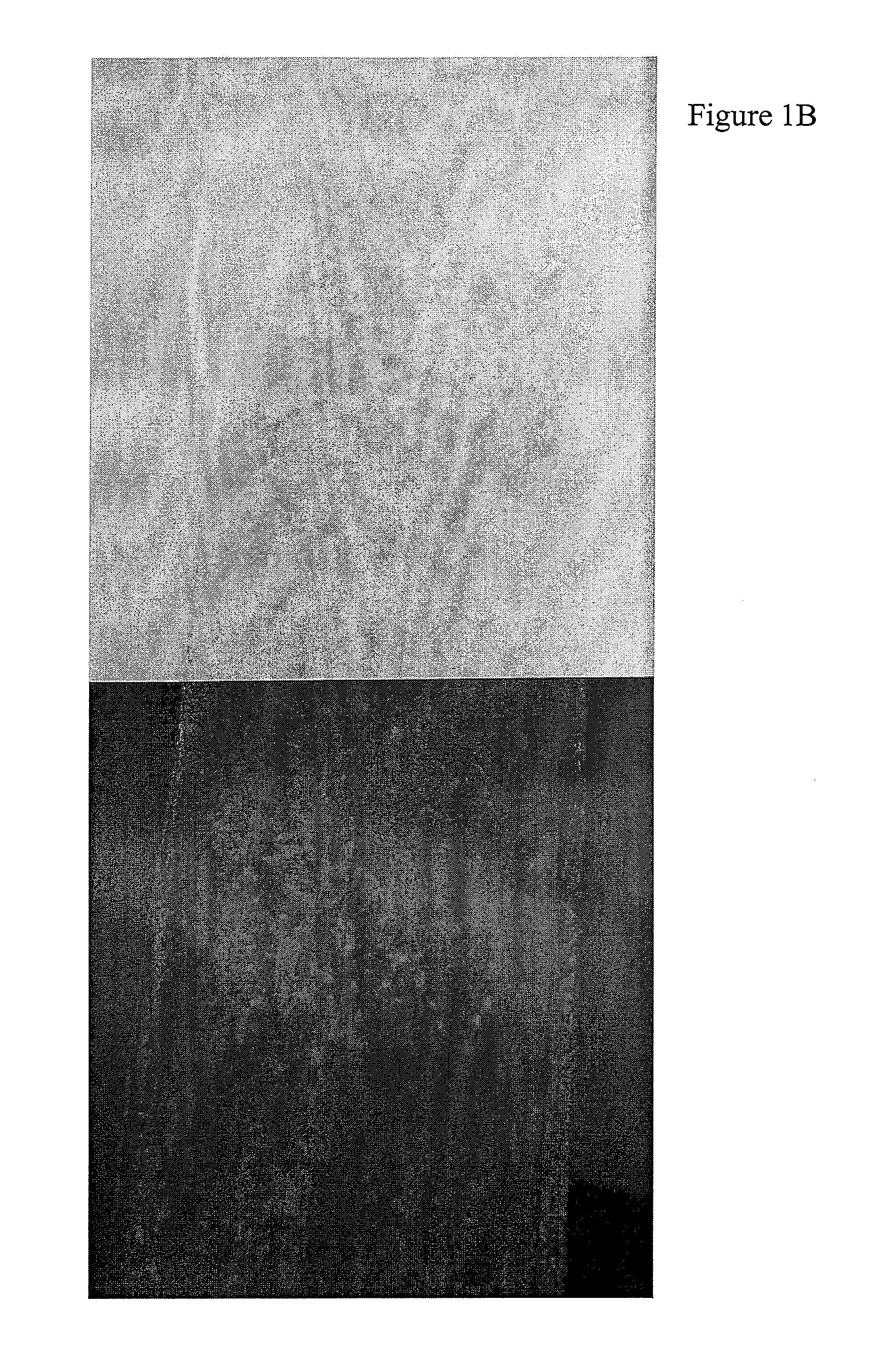 Water base slurry composition for cosmetic products and methods of use