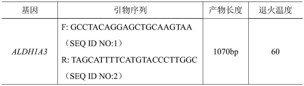 A molecular marker that affects chicken shin skin color and its application