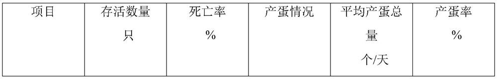 Traditional Chinese medicine composition for preventing and treating poultry liver disease syndrome