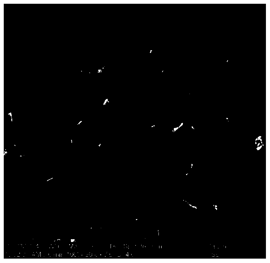 Proportion optimizing method of phosphogypsum-based all-solid waste filler for improving roof-contacted filling rate