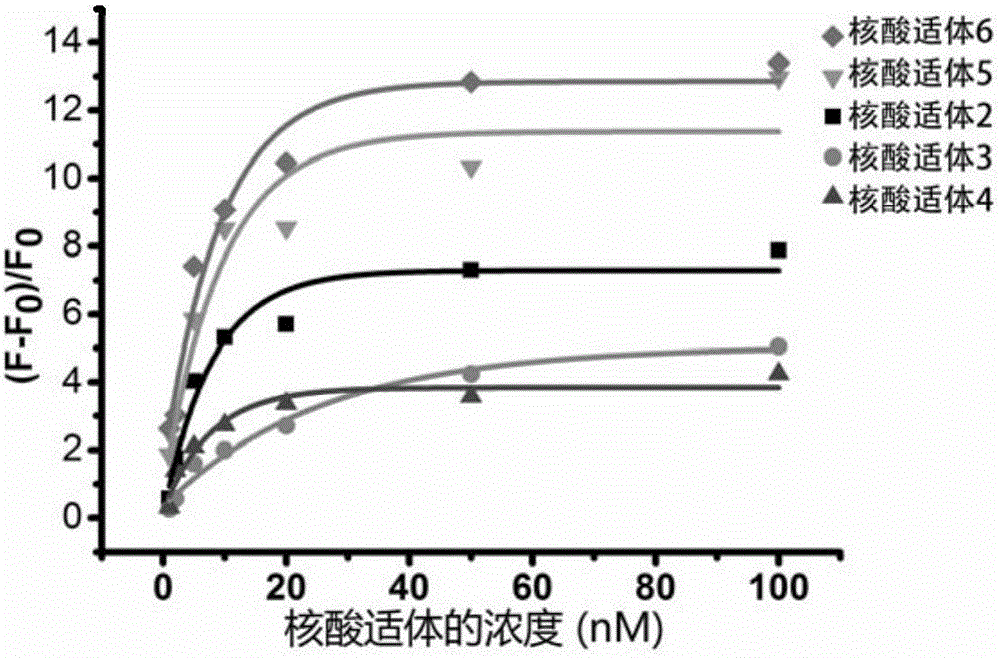 Nucleic acid aptamer sequence for recognizing and being combined with human transferrin receptor and application of nucleic acid aptamer sequence