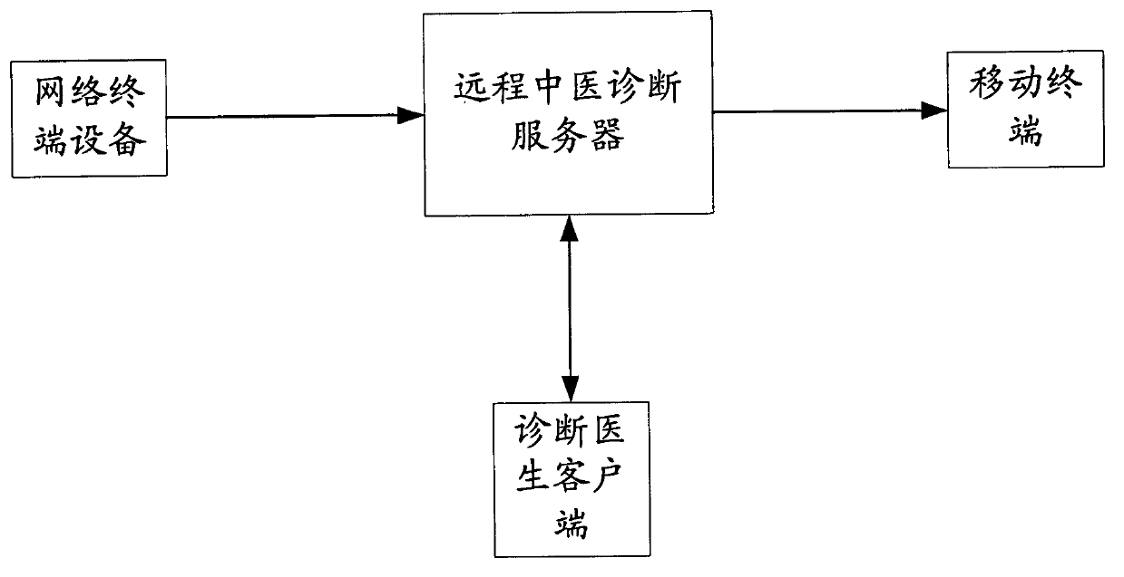 Traditional Chinese medicine remote diagnosis system and method realized by Internet