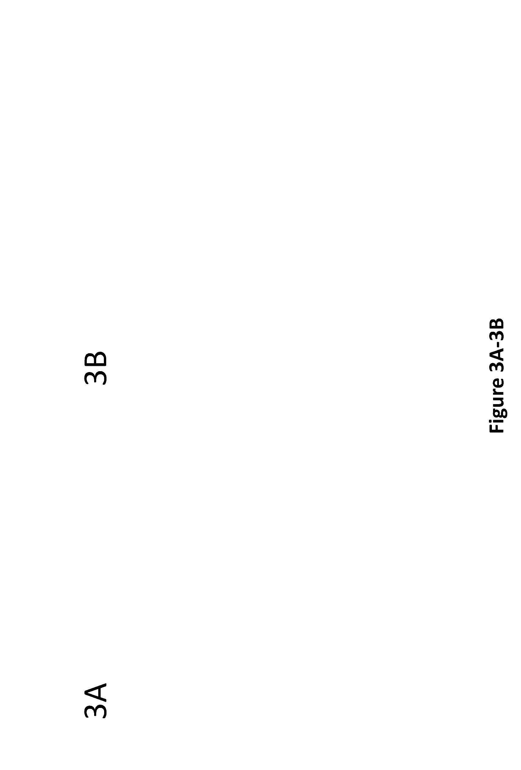 Method and Apparatus for In Vitro Kidney Organogenesis