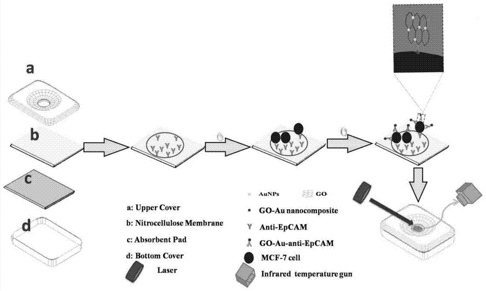 A cell detection method and device based on the photothermal effect of nanomaterials