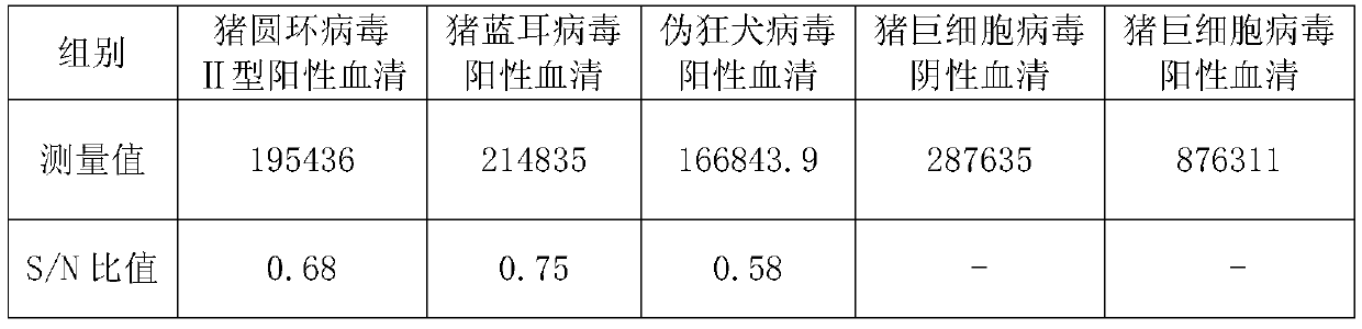 Method and special kit for detection of porcine cytomegalovirus antibody