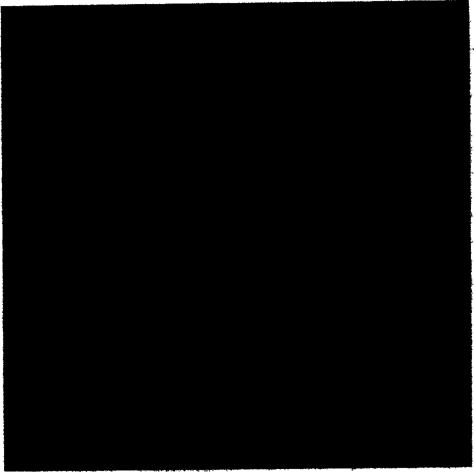 Method for compounding aquo-gel to porous tissue engineering rack