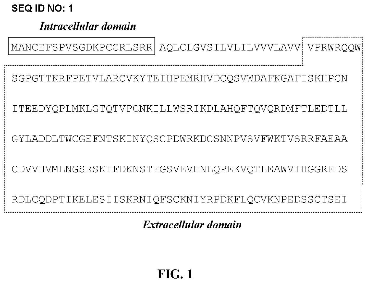 Combination of radioimmunotherapy and immune checkpoint therapy in the treatment of cancer