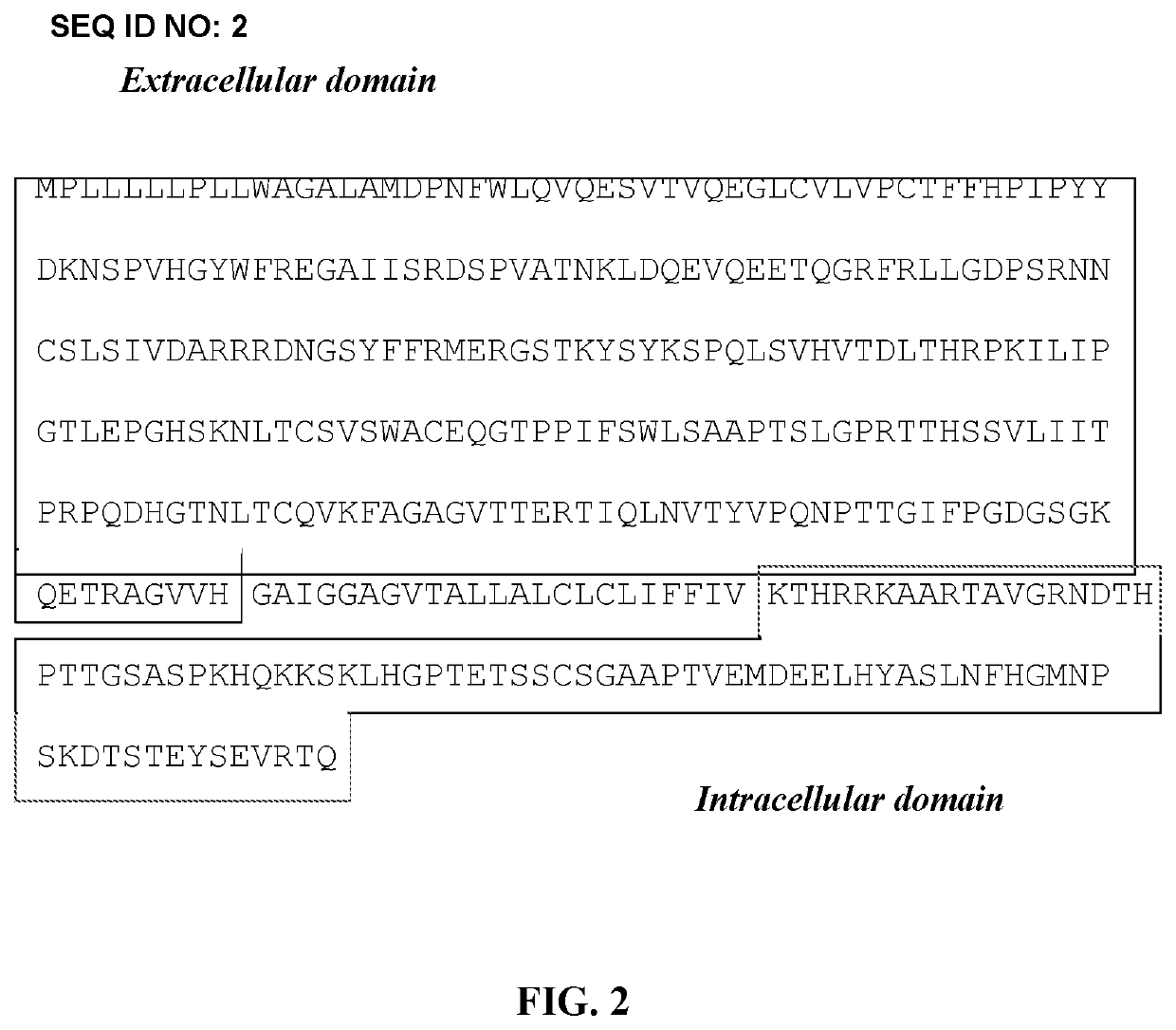 Combination of radioimmunotherapy and immune checkpoint therapy in the treatment of cancer