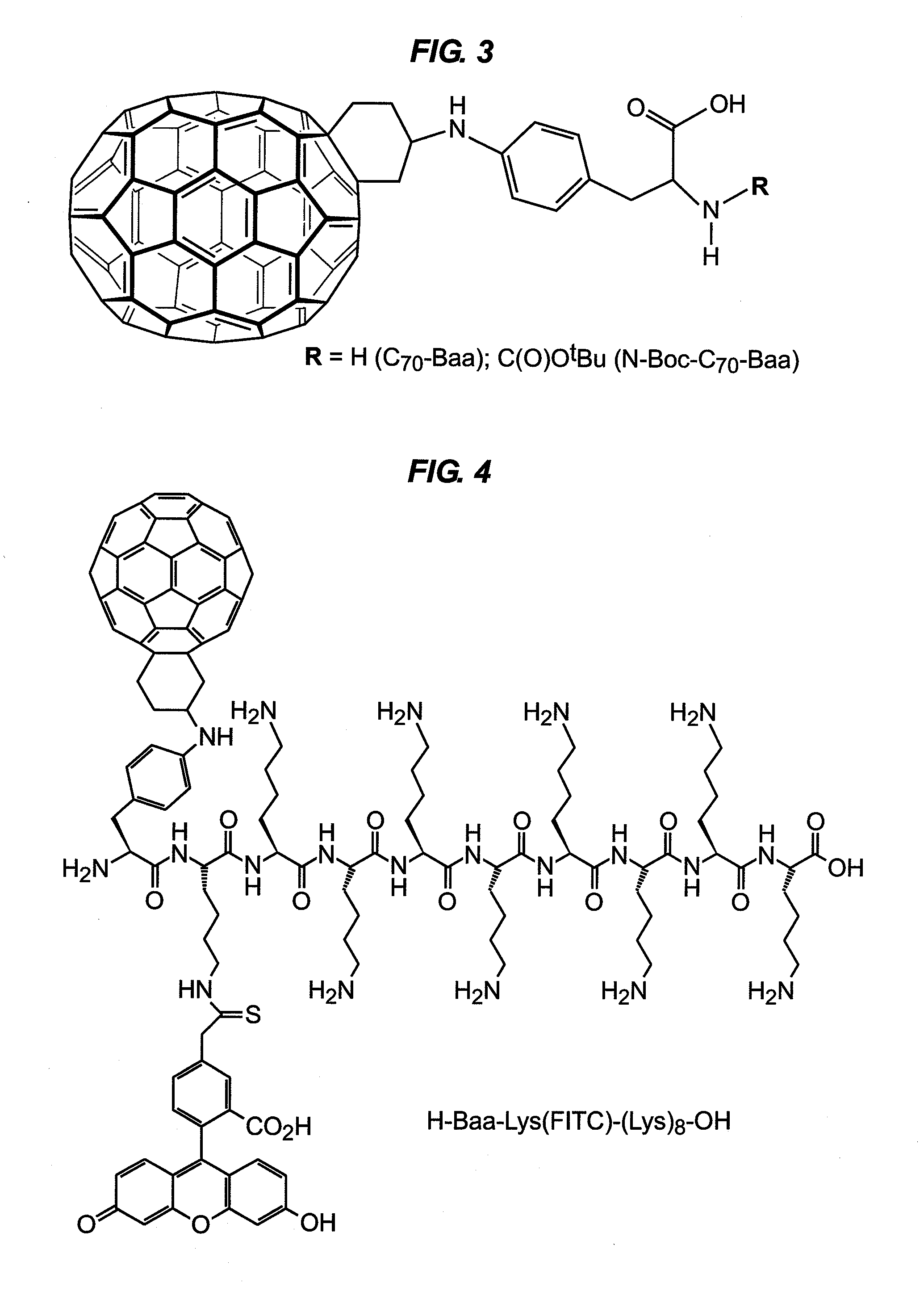 Fullerene Assisted Cell Penetrating Peptides