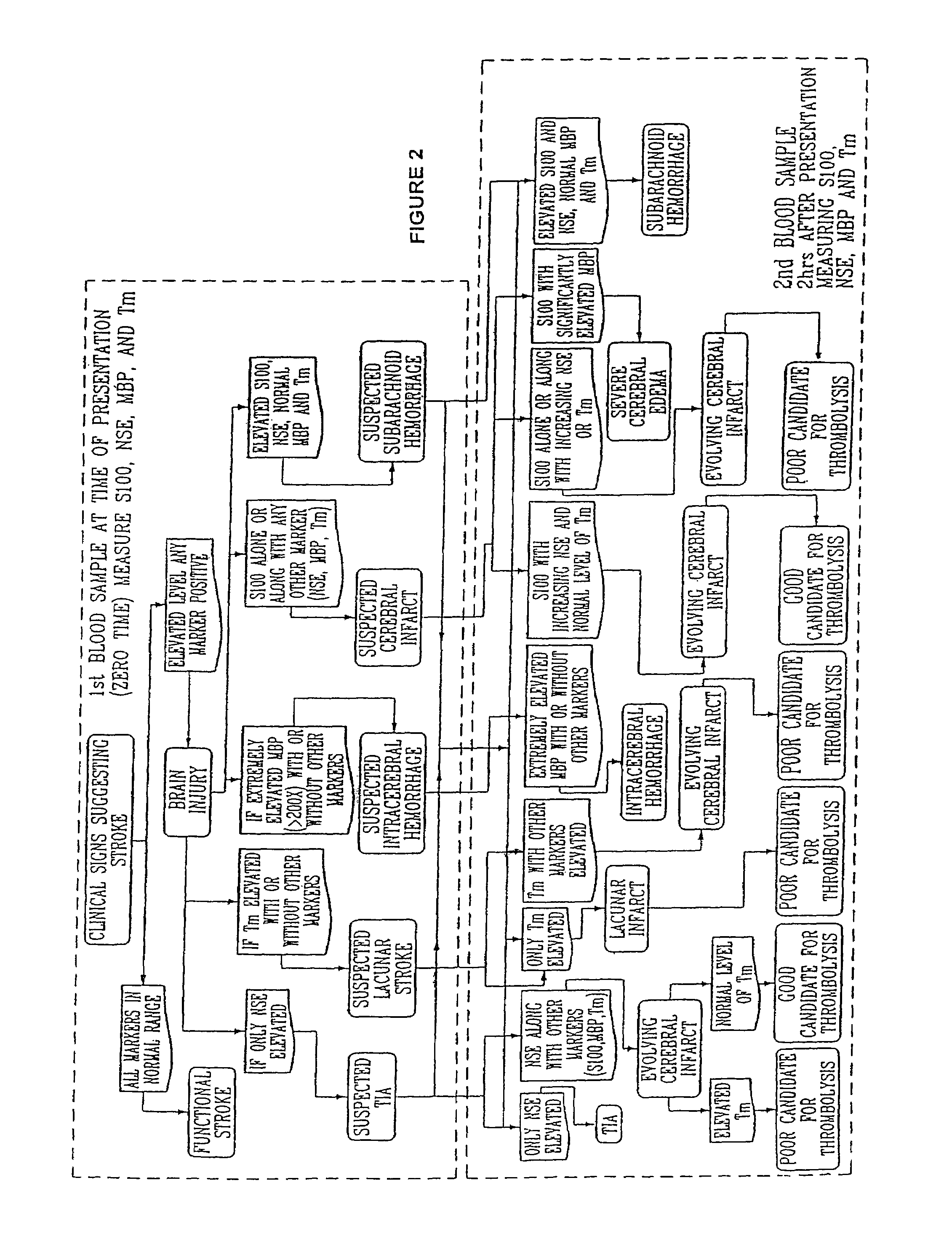 Method for diagnosing and distinguishing stroke and diagnostic devices for use therein