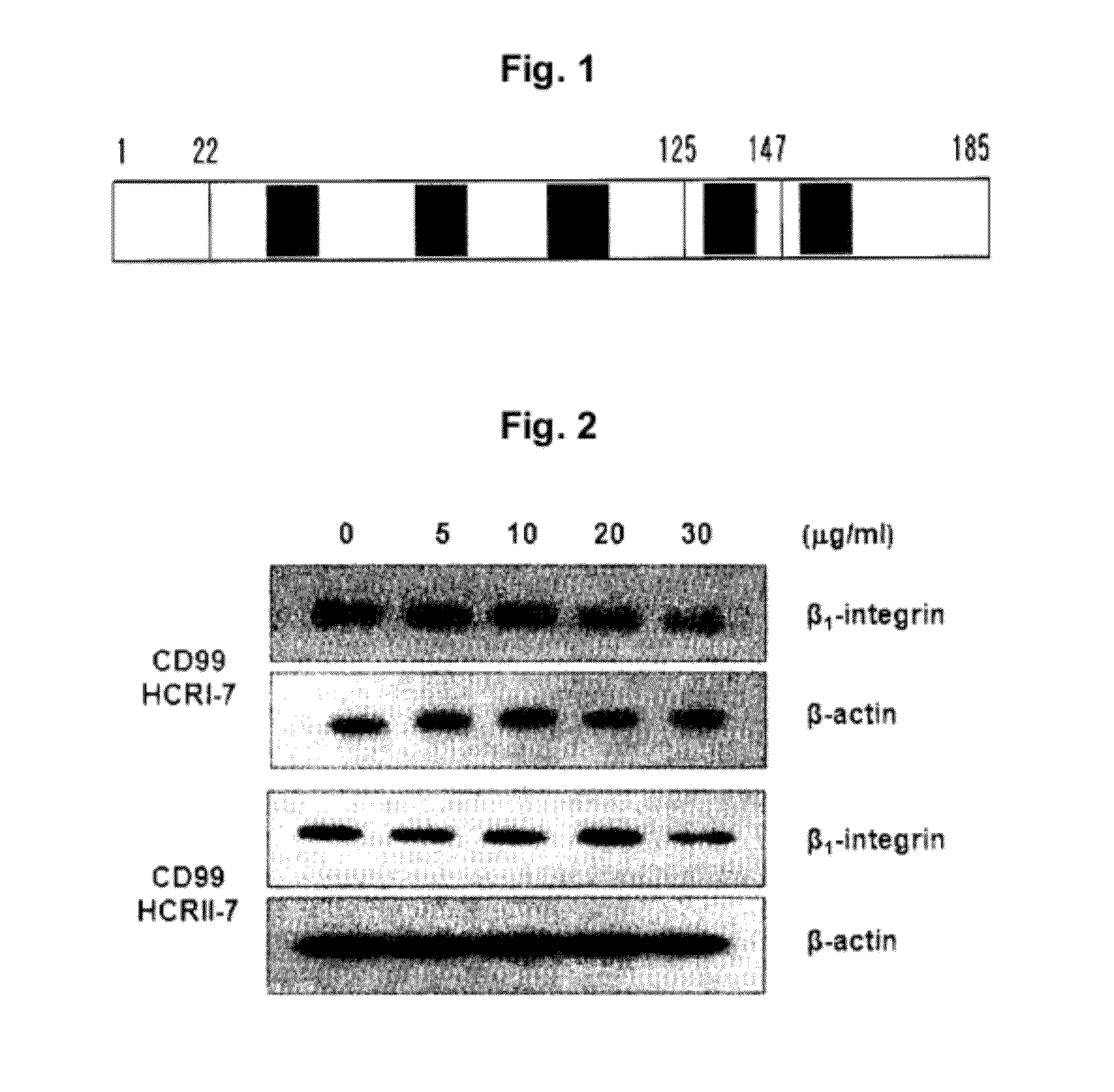 Polypeptide or fused protein thereof inhibiting the extravasation of white blood cells or the growth and/or metastasis of cancer cells