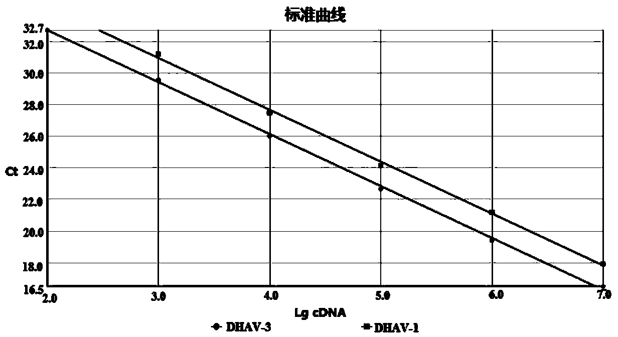 Dual fluorescence quantitative method for quickly identifying type 1 and type 3 duck hepatitis A viruses