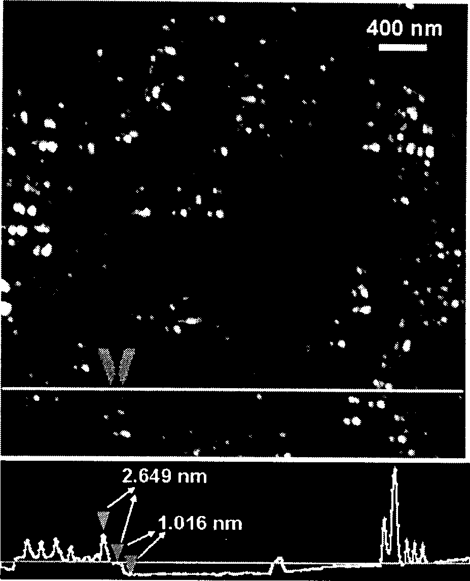 Mono-layer oxidized mineral carbon and ferriferrous oxide composite material as well as preparation and application