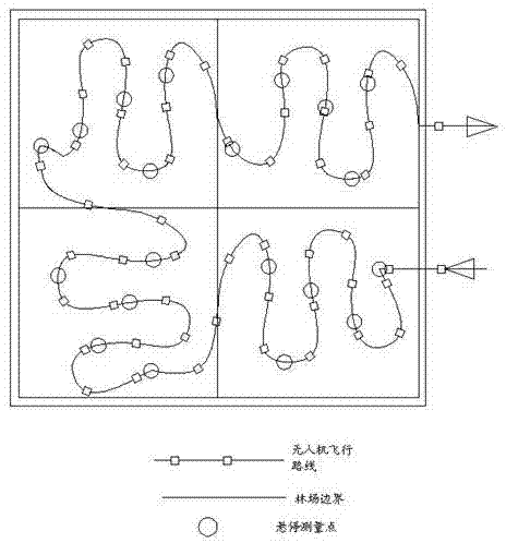 Method for monitoring growing state of forest trees based on unmanned aerial vehicle