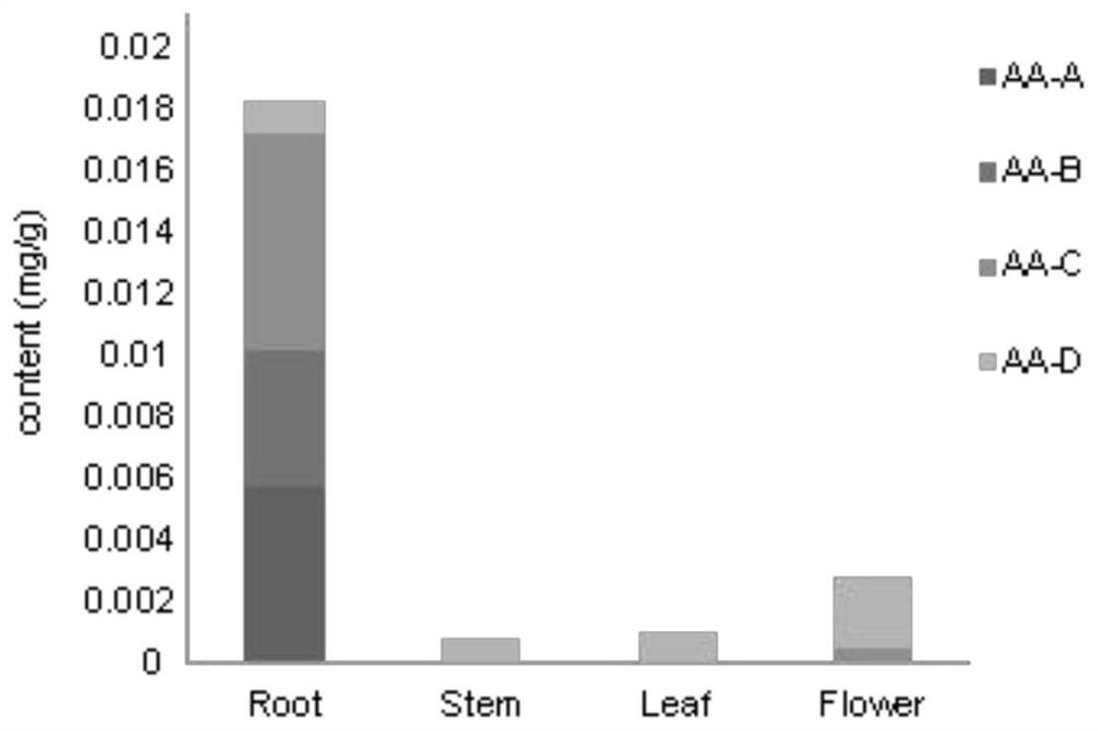 Application of benzylisoquinoline alkaloid and derivative synthetic gene Ac6OMT thereof