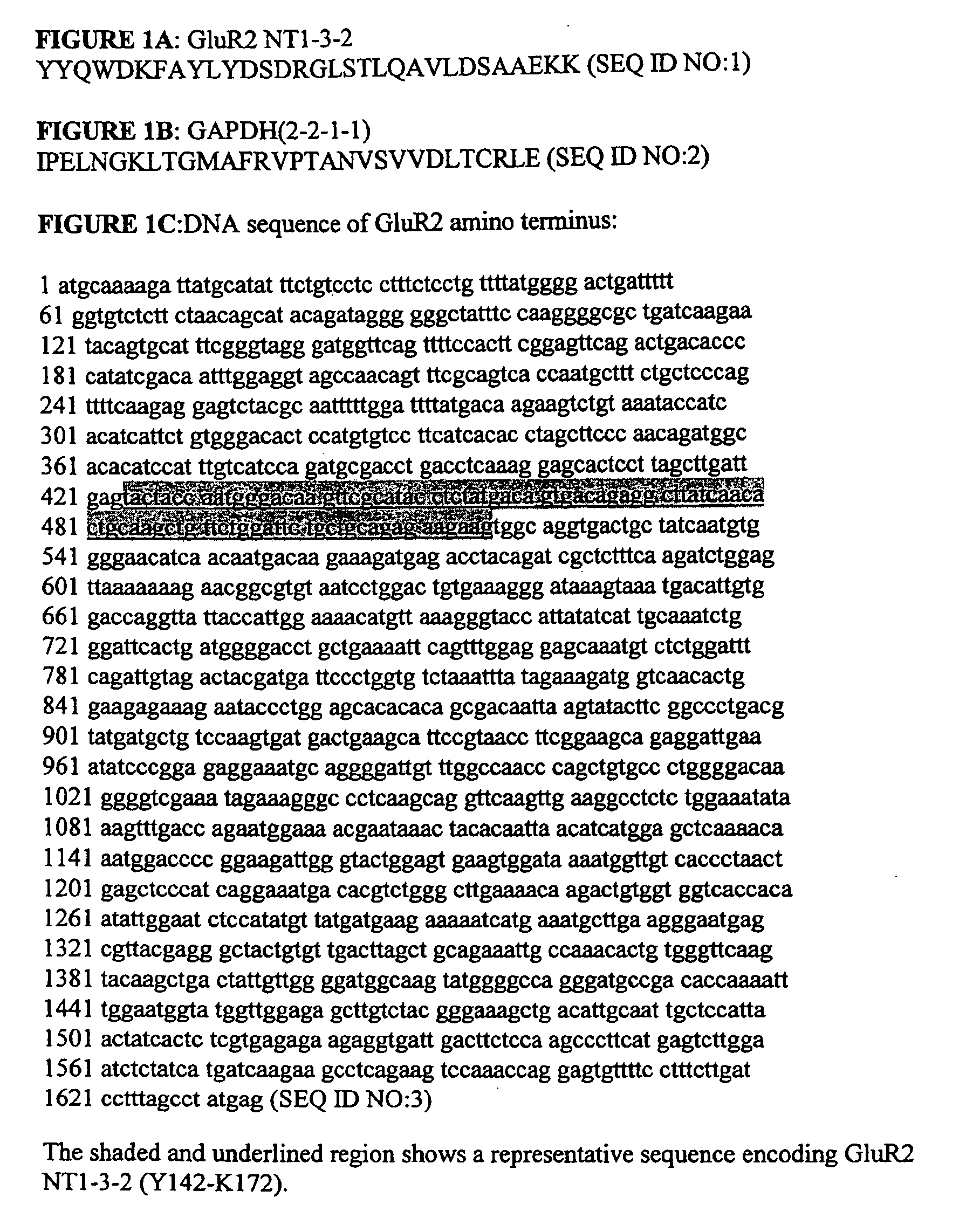 Compositions and methods for modulating ampa receptor-mediated excitotoxicity