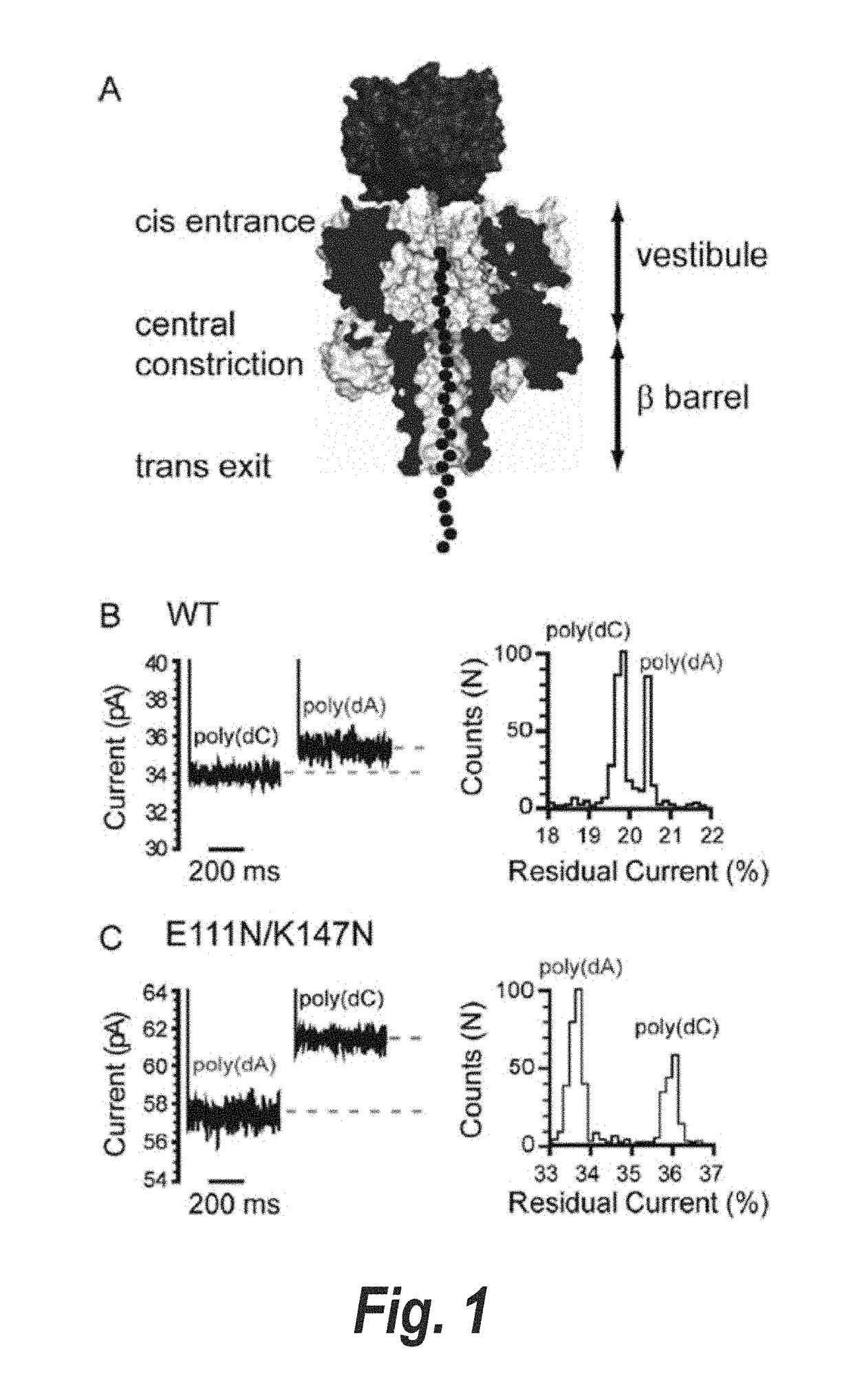 Method for sequencing a heteropolymeric target nucleic acid sequence