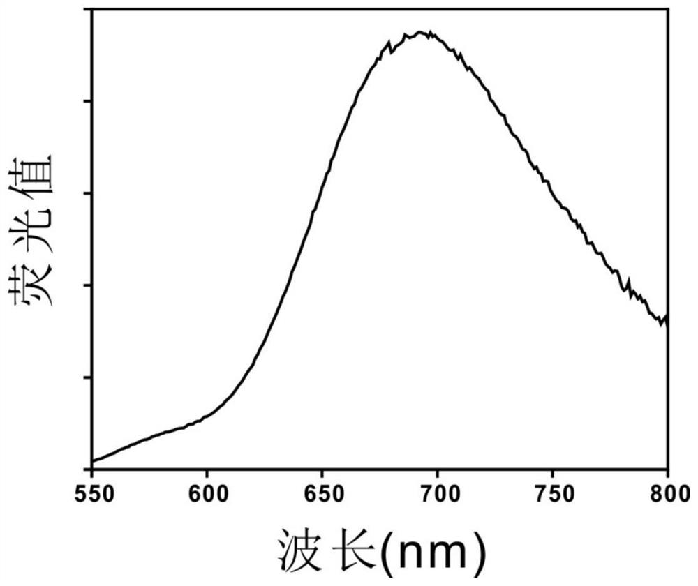 Oligonucleotide/atom fine nanocluster compound capable of efficiently penetrating through blood brain barrier and preparation method and application thereof