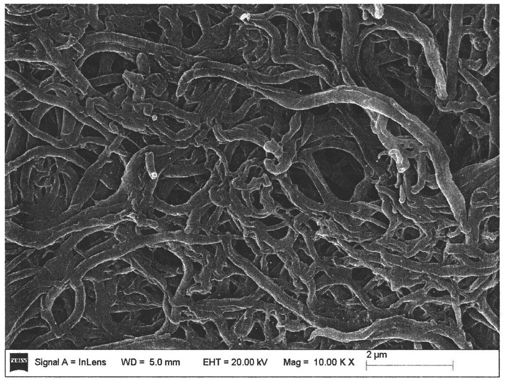 Preparation method and application of conducting polymer-based nanometer carbon fibers