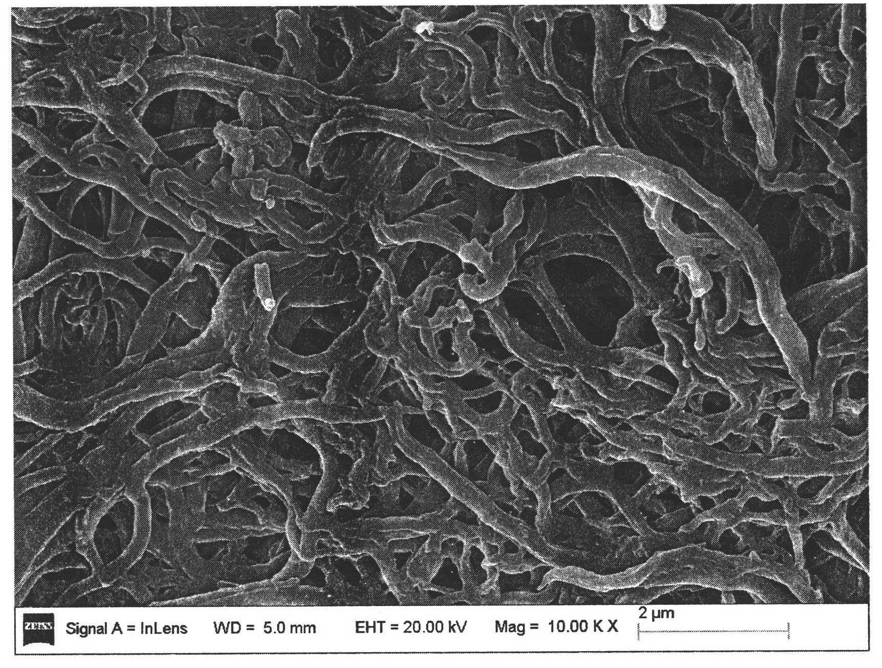 Preparation method and application of conducting polymer-based nanometer carbon fibers