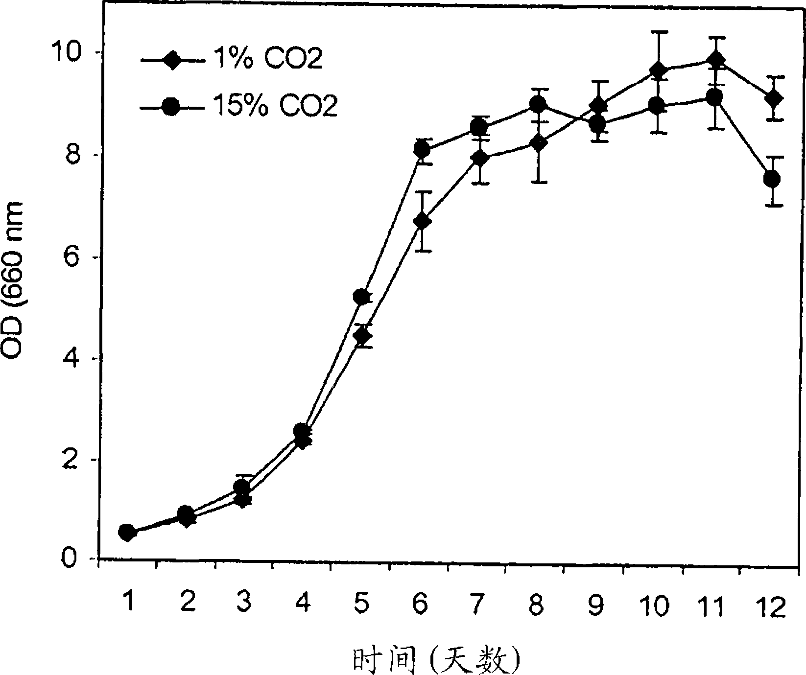 Novel chlorella species and uses therefor