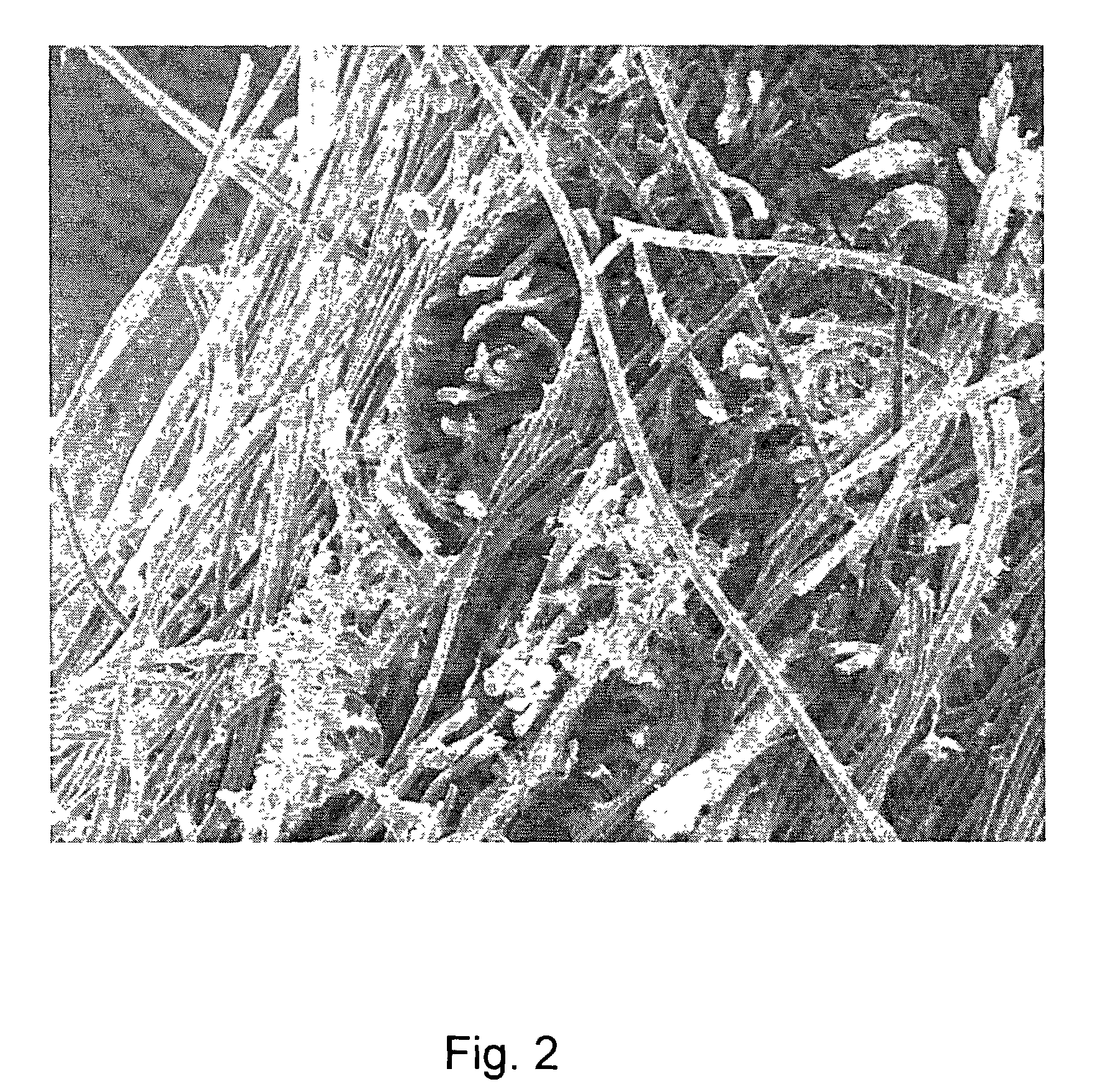 Hybrid biologic/synthetic porous extracellular matrix scaffolds