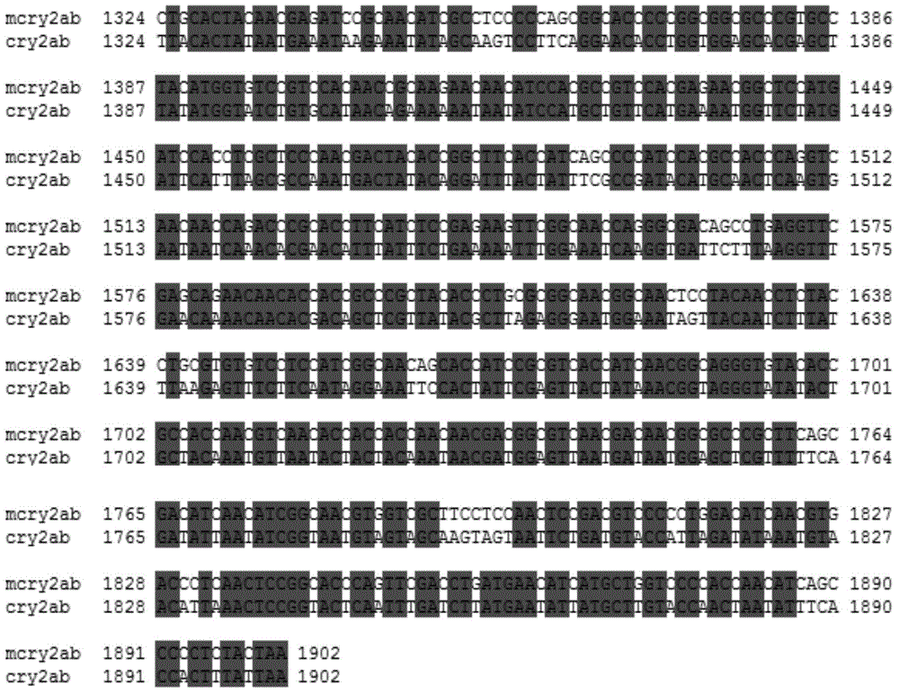 Insect resistant gene mCry2Ab and application thereof