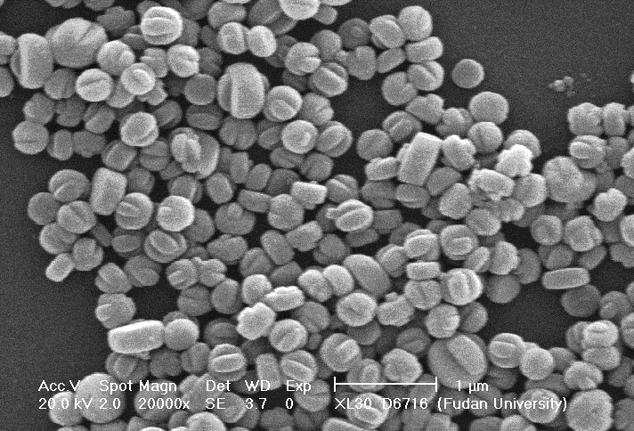 Method for synthesizing ZSM-5 zeolite orderly accumulated by nanometer crystallite