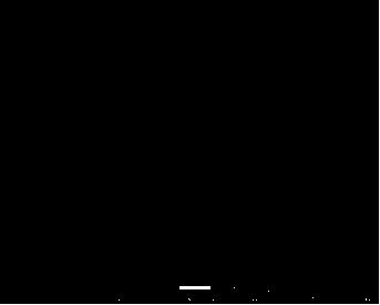 Preparation method of phase-change energy-storage material