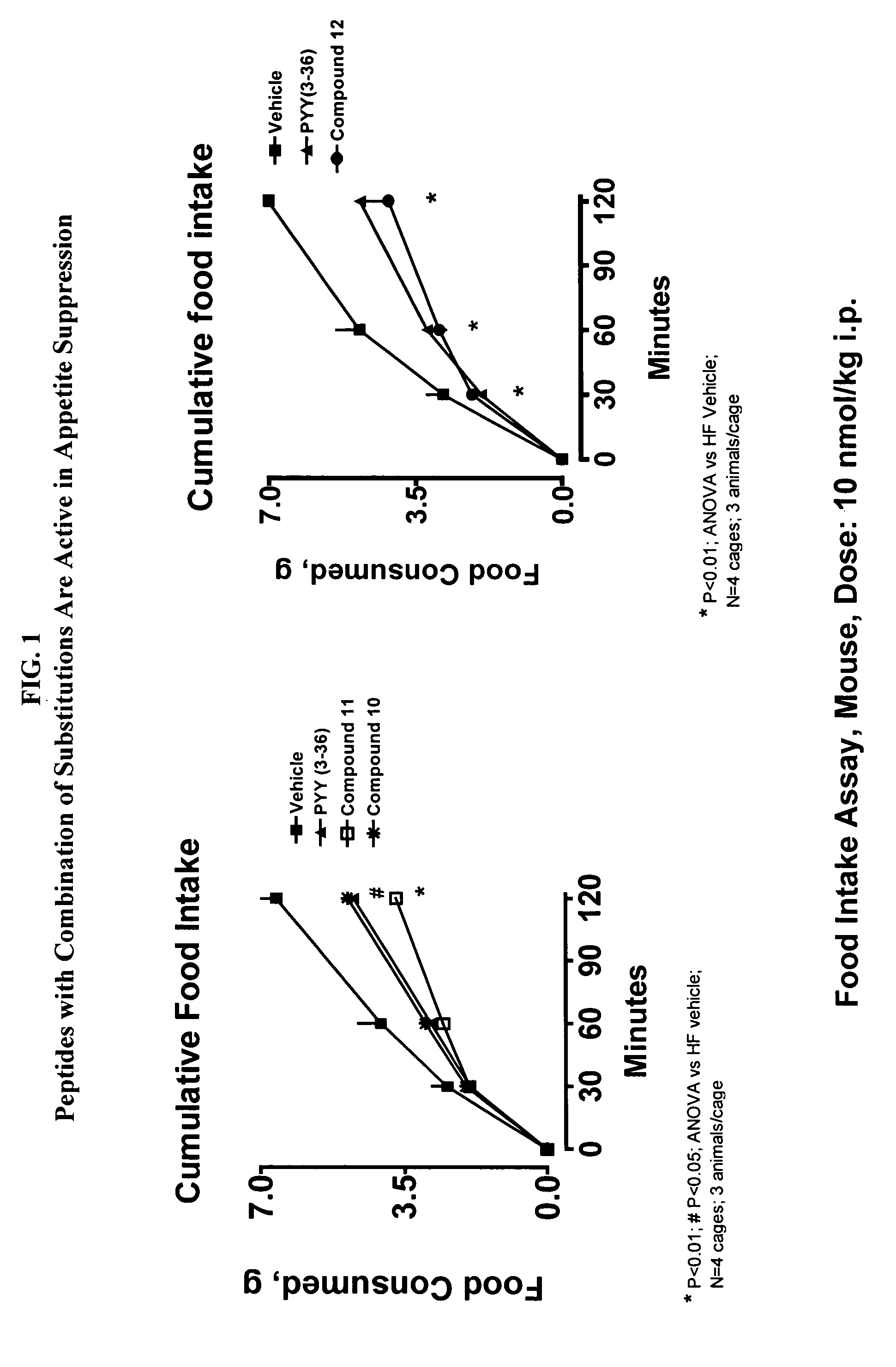 Pancreatic polypeptide family motifs and polypeptides comprising the same