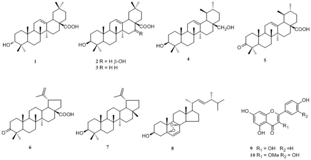 A kind of preparation method of Hainan nine knot stem extract